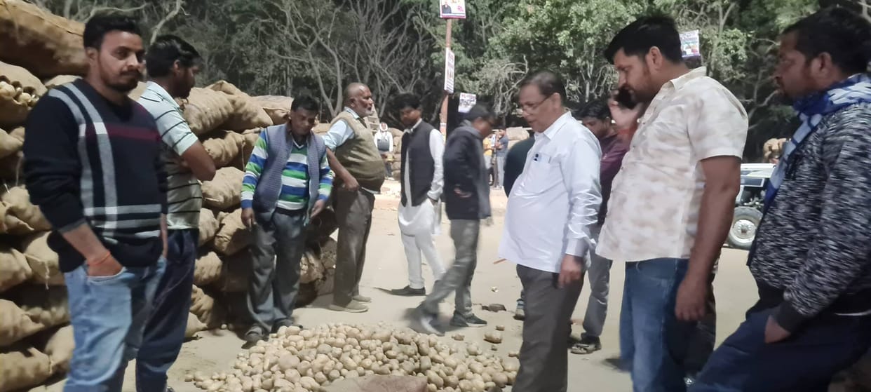 Demand for large-sized potatoes for chips and papads on Holi