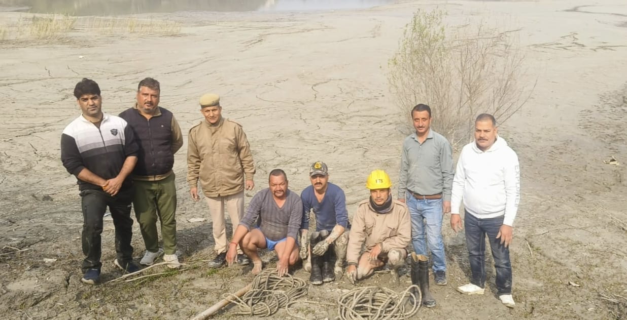 Sambhar trapped in the swamp on the banks of Sutlej was rescued safely.