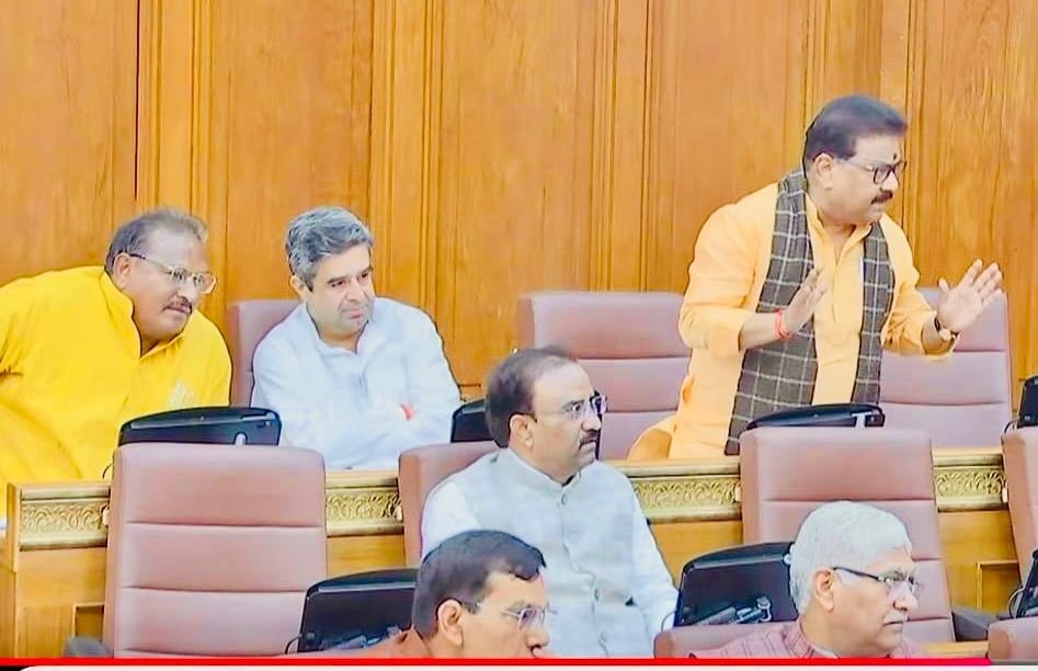 BJP MLC raised the issue of setting up a chilli market in Phulpur in the House.