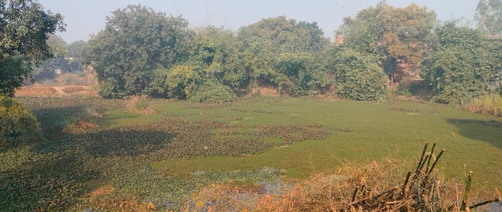 32 houses demolished 12 years ago, beautification has not happened