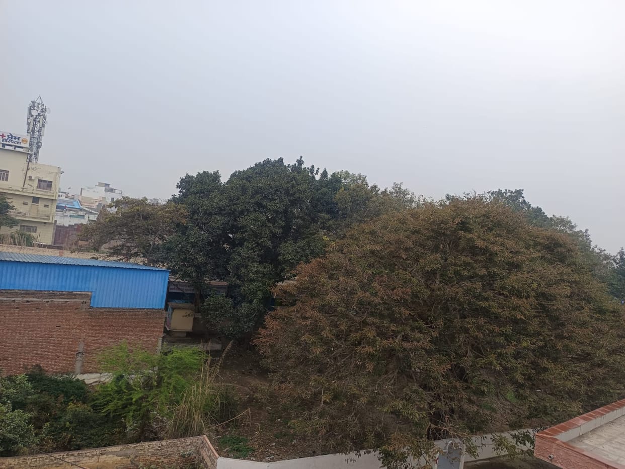 Weather changed with drizzle, cold wind brought down the mercury