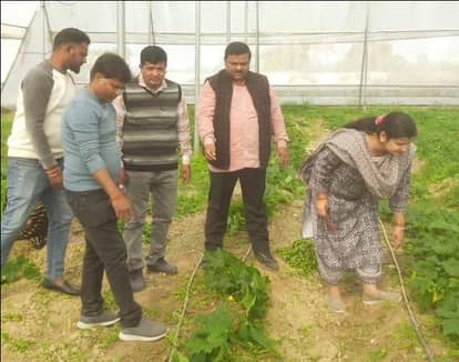 February is the right time to prepare vegetable nursery