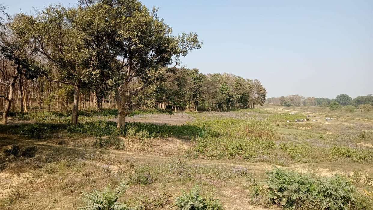 A parking lot will be built in the Devipatan Temple corridor at a cost of 100 million.