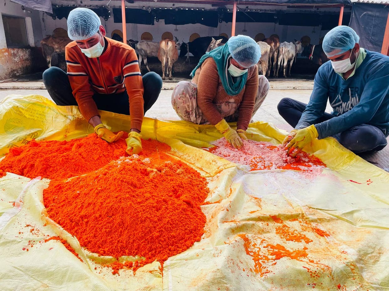 Cow dung-made gulal will be sent to national celebrities including Modi and Yogi.