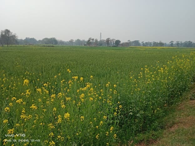 Four-lane road will be built from Kasiya to Belvania, the way to Bihar will be easy