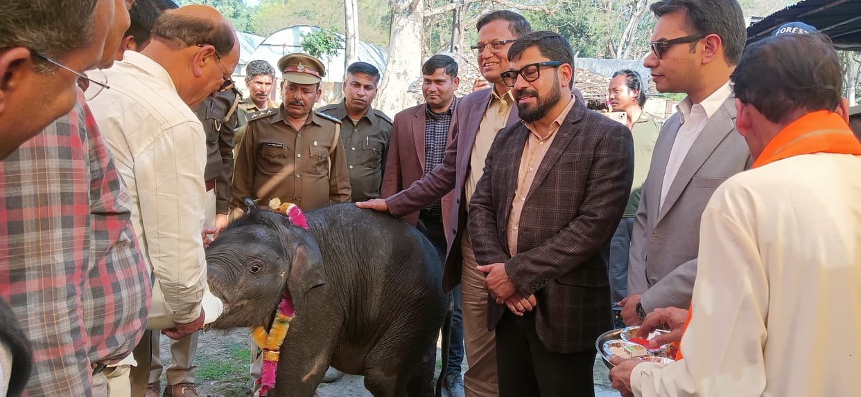 The little female elephant will be known as Malini