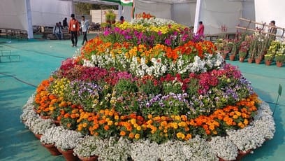 Give your garden a new look with the Taj Mahotsav… Colourful stalls, ceramic pots and utensils in great demand… A unique confluence of art, culture and crafts: the feeling of "I Love Agra".