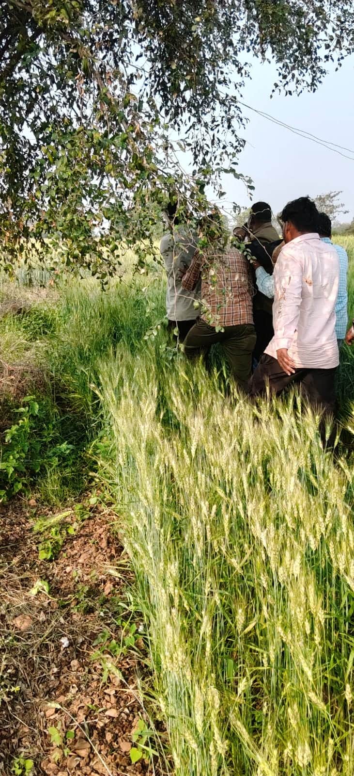 हमले में घायल लोग।