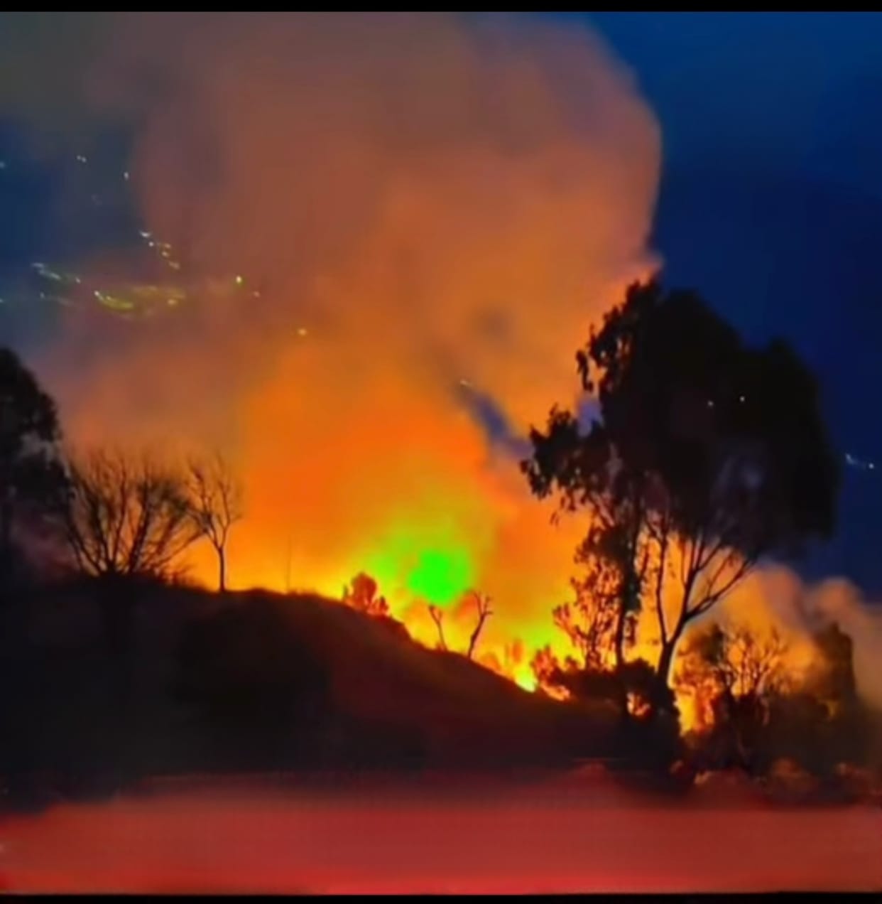 Fire broke out in the Kalog forest near Durah