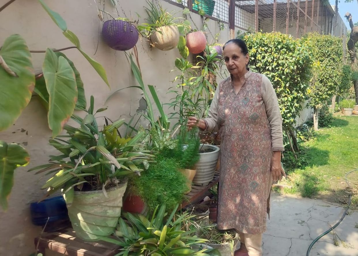 Prem Dalal has created a garden of 200 medicinal and flowering plants at home.