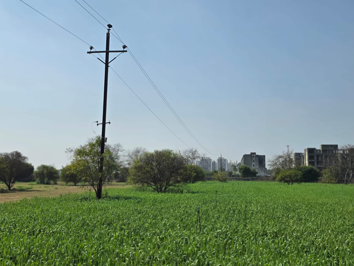 Prayagraj Power Outage Electricity Cut Leaves Villages Struggling for Water UP News in Hindi