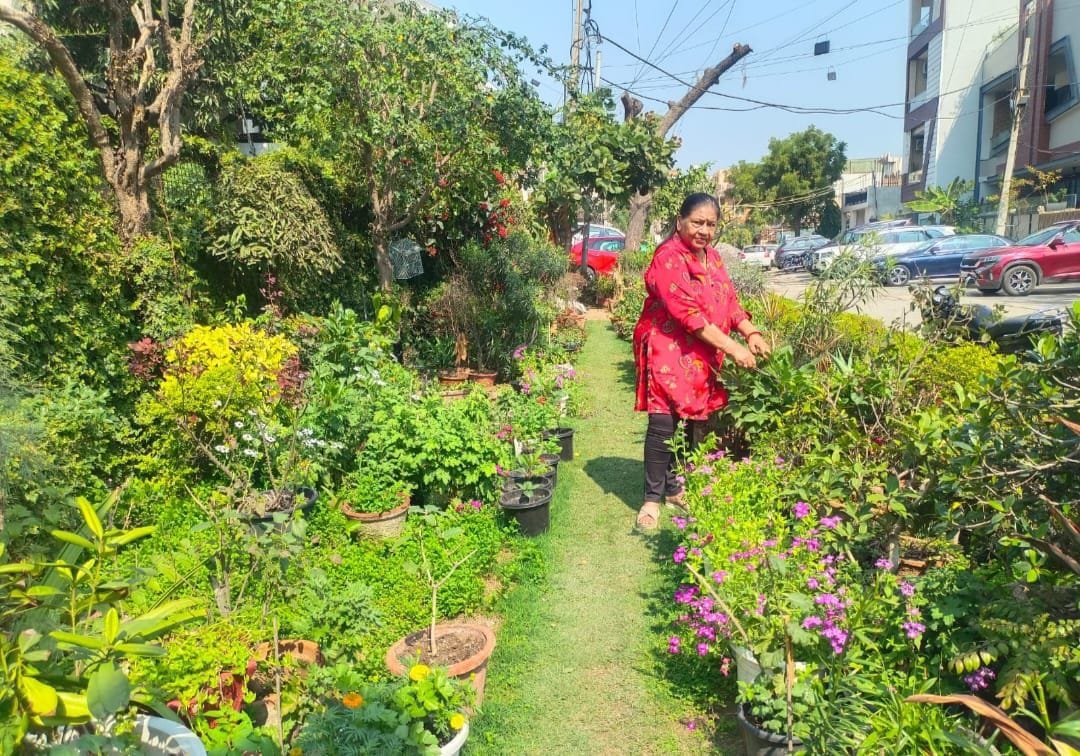 Learned the skill of raising plants from Krishi Darshan, now the garden is flourishing