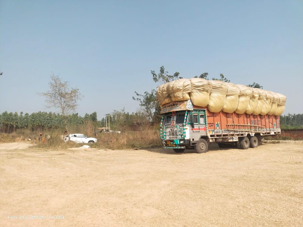 Mustard straw is being dumped near sensitive sitesMustard straw is being dumped near sensitive sites
