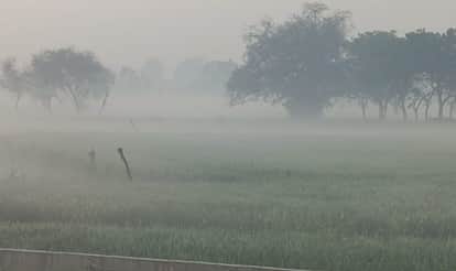 Meerut Weather Today: Unique form of weather, fog seen in the morning in March, know forecast for two days