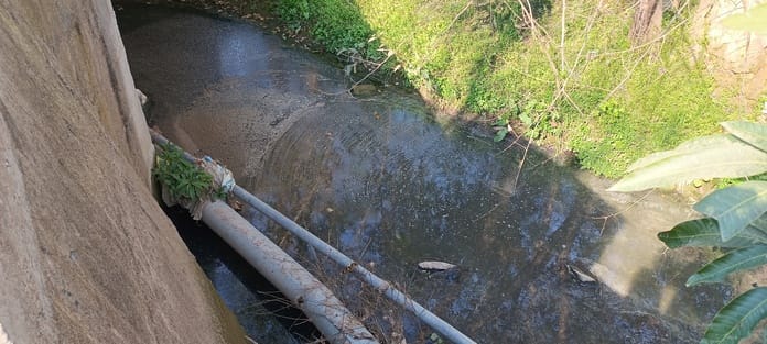 The risk of diseases increases due to sewage filth in the Seer Khad.