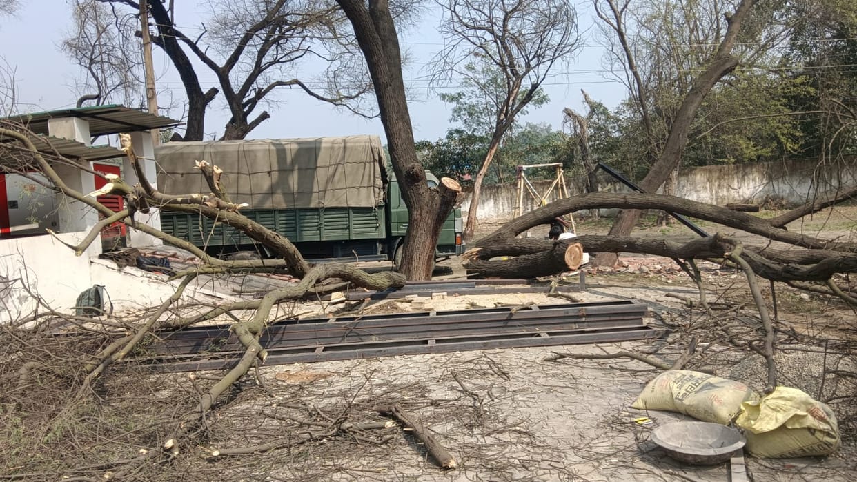 Trees were cut near Capital Chowk, the department stopped the work.