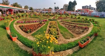 A 108-petaled lotus flower blooms at the exhibition, and will remain dormant for 10 years.
