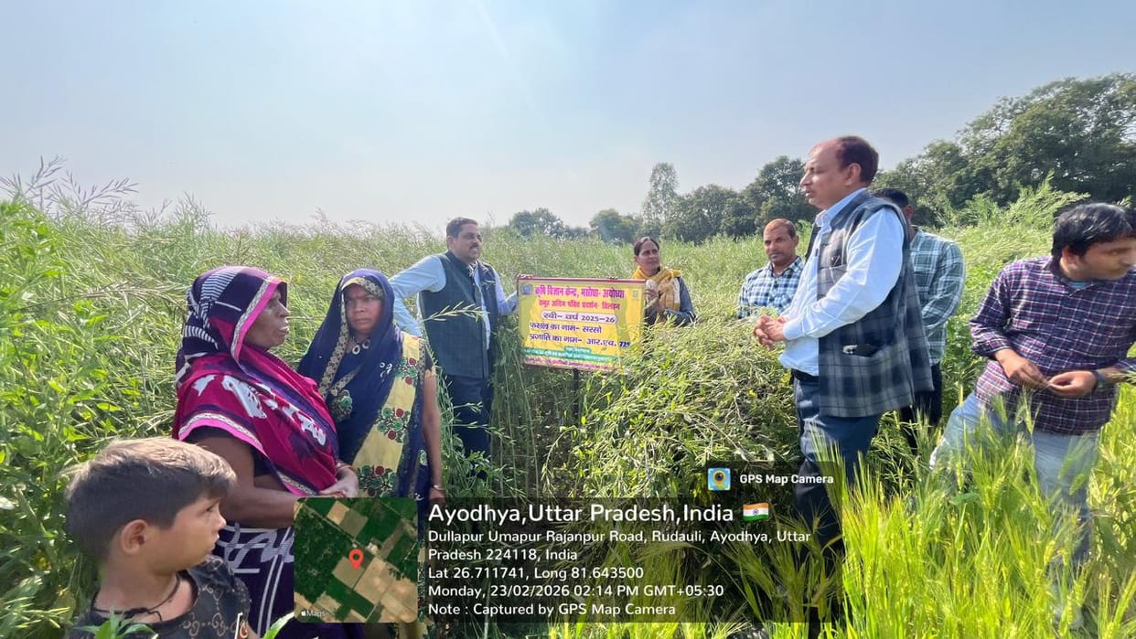 Emphasis on increasing oilseed production, demonstration of new mustard variety