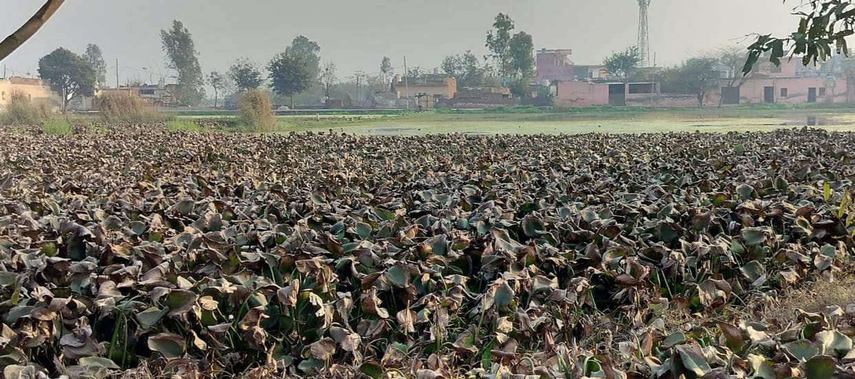 Kalu Majra lacks basic amenities