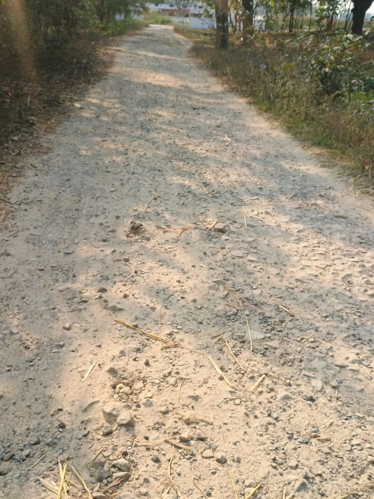 The roads are out of order... the stones have been uprooted