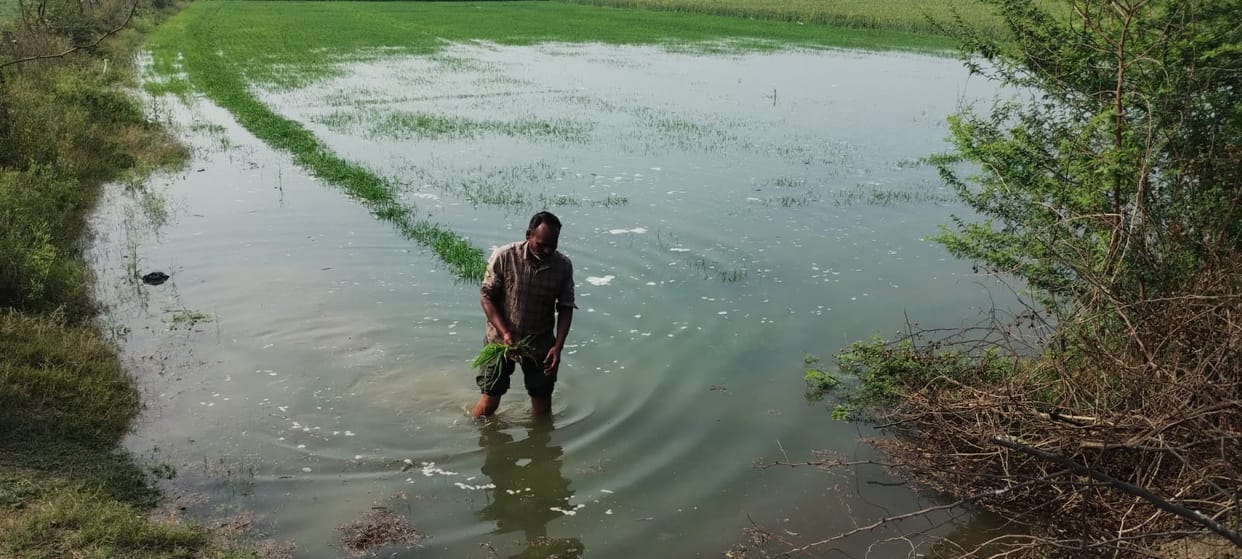 Hamirpur Sakh Canal overflows, 150 bighas of crops submerged