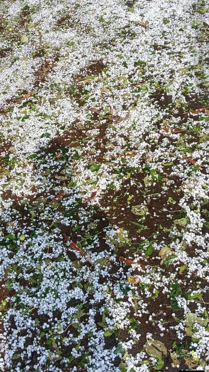 shivpuri-Sudden change in weather in Shivpuri, rain and hailstorm occurred, increasing the worries of farmers.