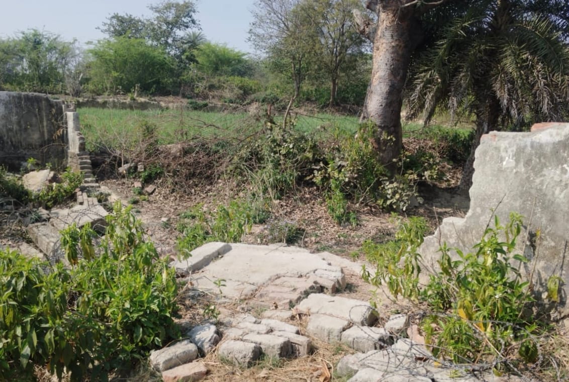 The park could not be developed even in ten years, the quality is also poor.