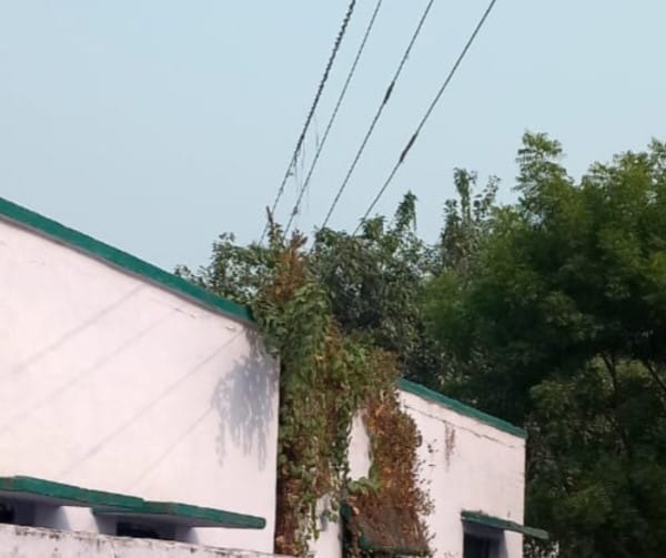 An electric wire passed over the school roof, waiting for an accident