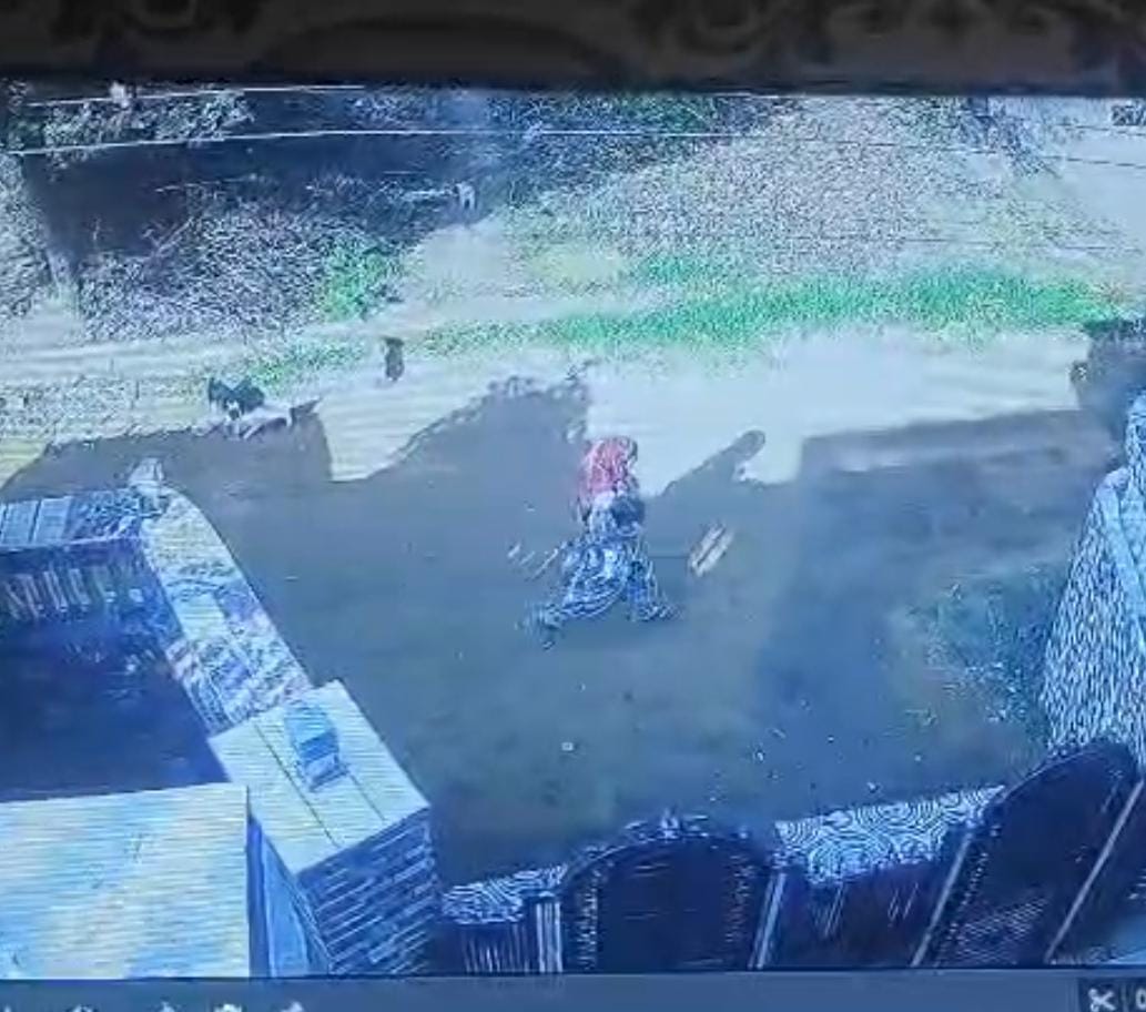 I am hungry, give me food... Jewellery and cash stolen from the house of a woman who had gone to buy bread.