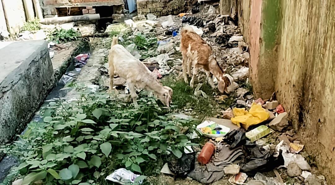 Crisis of basic amenities in Asra Housing of Rath Haveli
