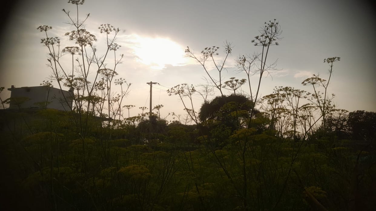 Changed weather: Clouds covered the sky, drizzle in many areas brought down the mercury.