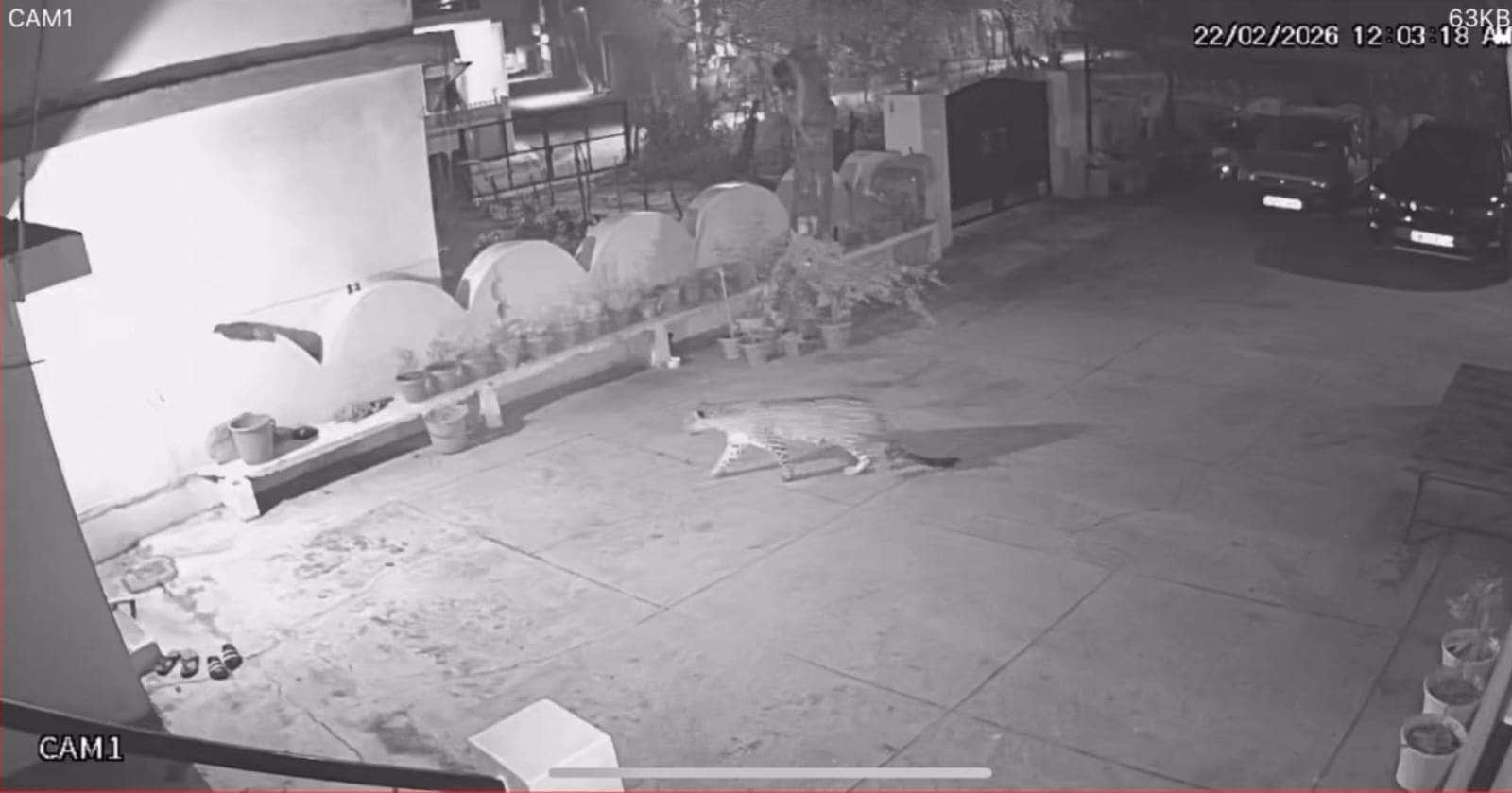 खांड गांव में सीसीटीवी कैमरे में कैद हुई गुलदार की चहलकदमी। सीसीटीवी