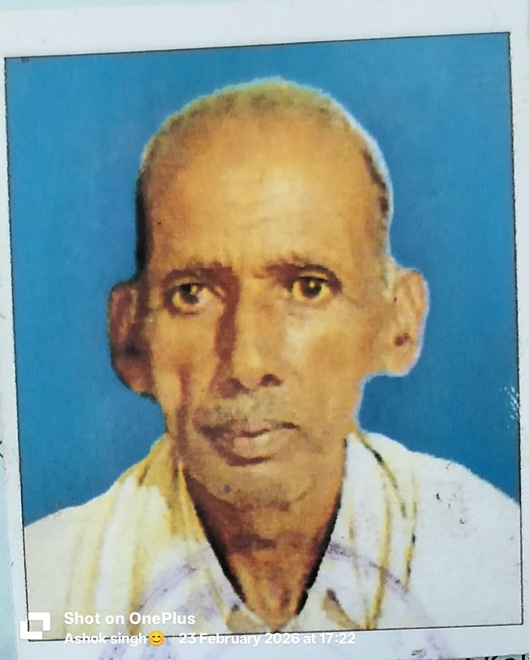 Elderly cyclist dies after being hit by a bike