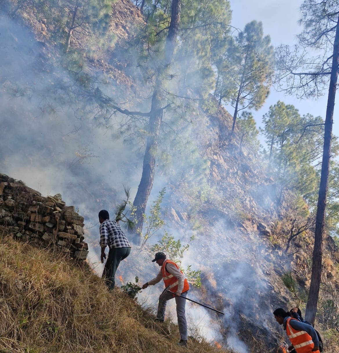 Forest fire, difficult to control