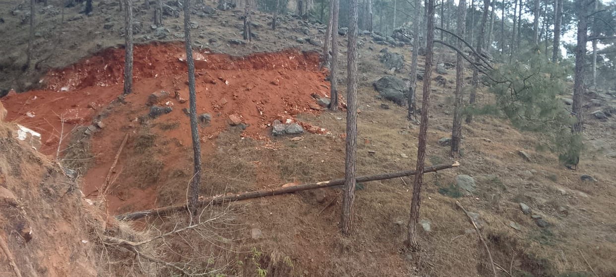 The road was cut without permission and three to four green trees were uprooted.