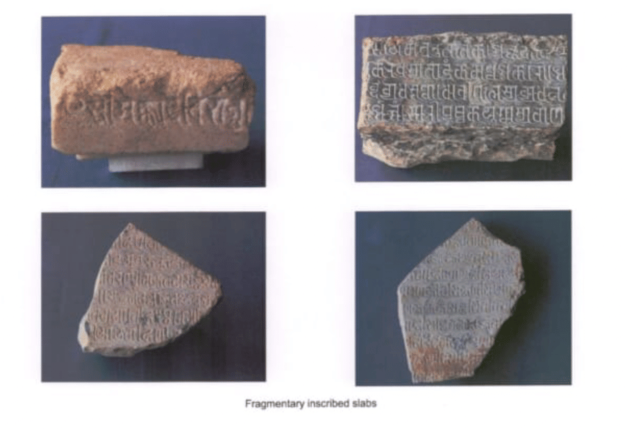 सर्वें में शामिल तथ्य।