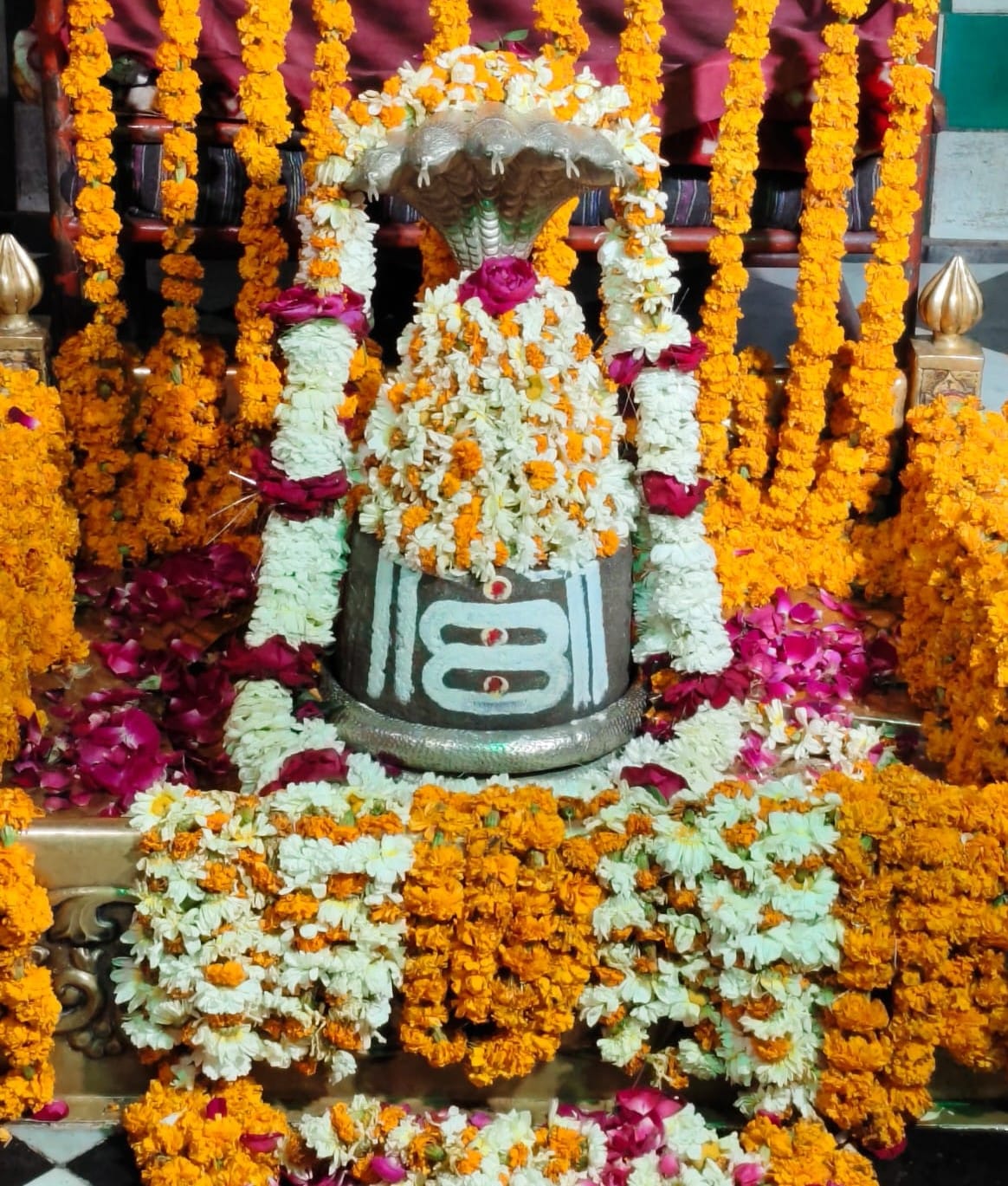 The grand aarti of Mahadev was held with devotional singing