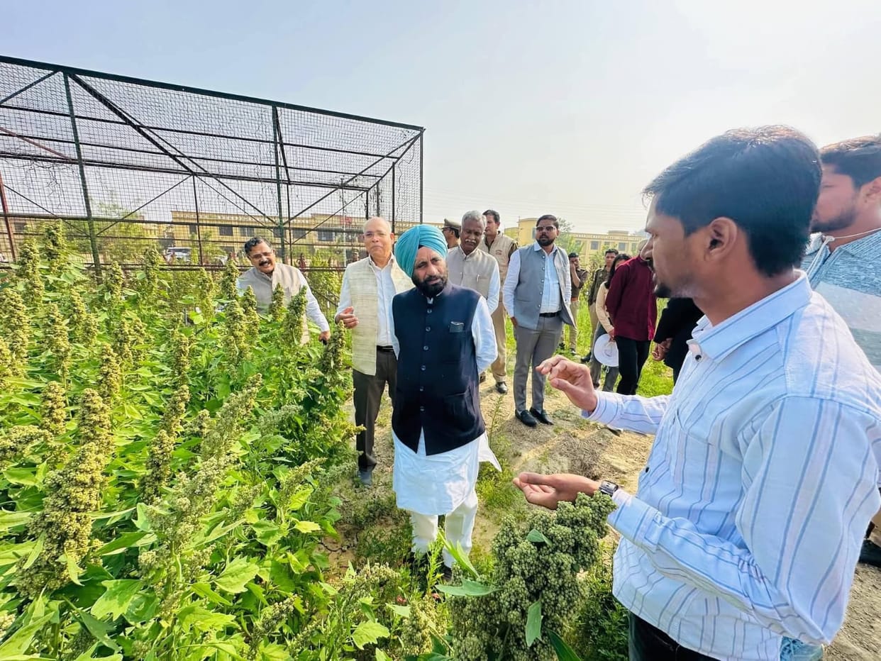 Colourful fish will increase the income of farmers
