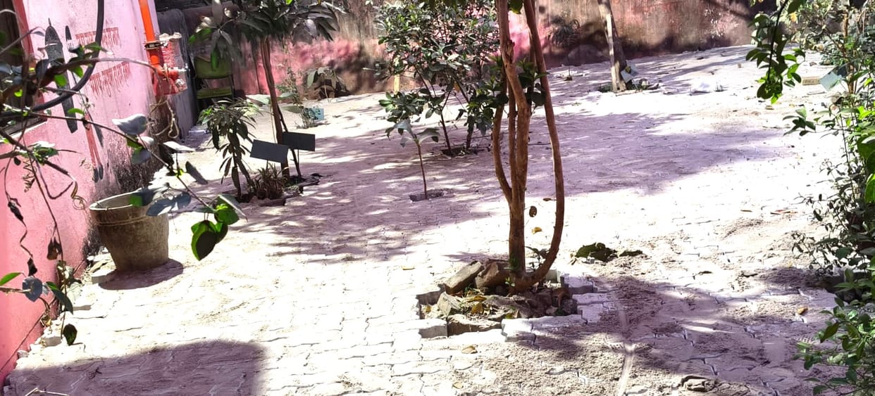 Interlocking will be installed worth 10 lakh in the district hospital's herbal garden