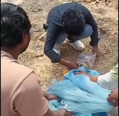 Dog rescued after box stuck in its mouth suffering from hunger and thirst for a week in Korba