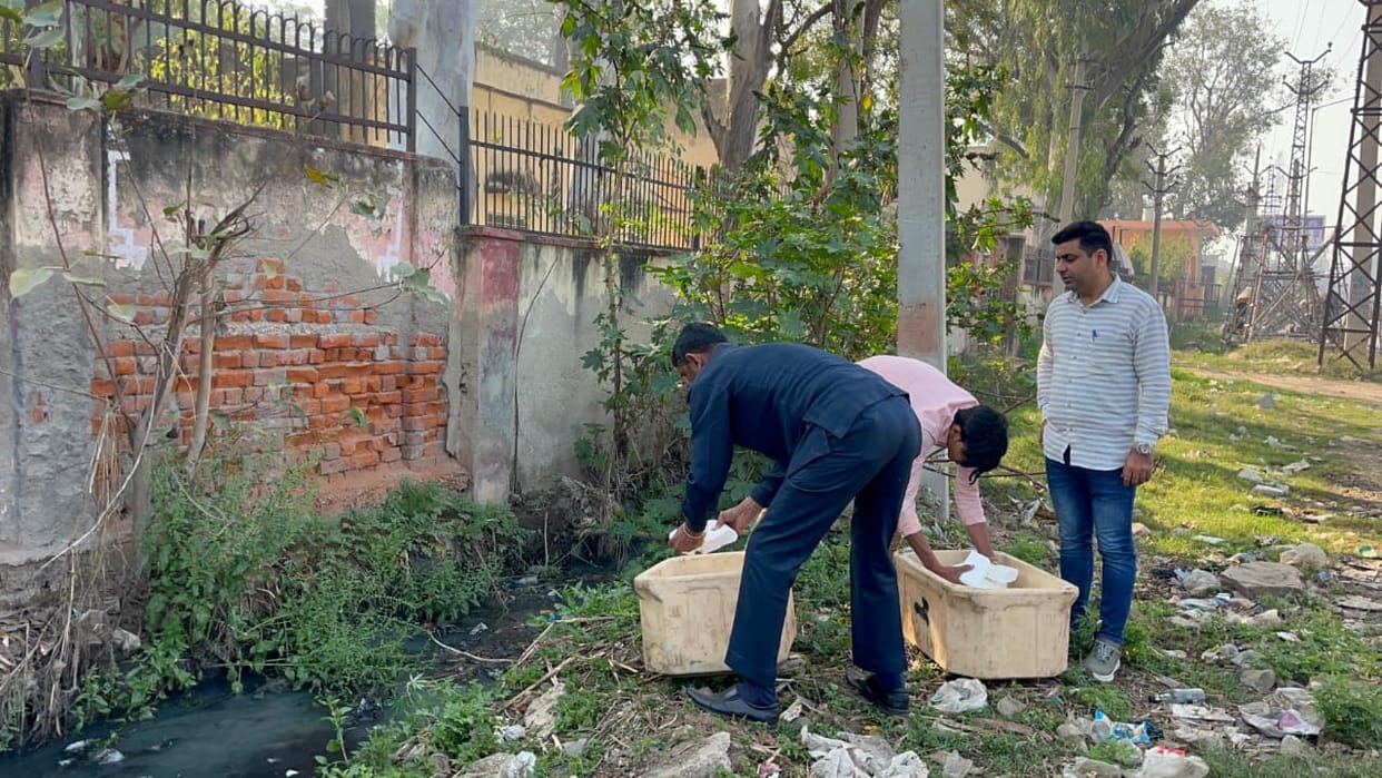 180 kg of adulterated and synthetic cheese destroyed
