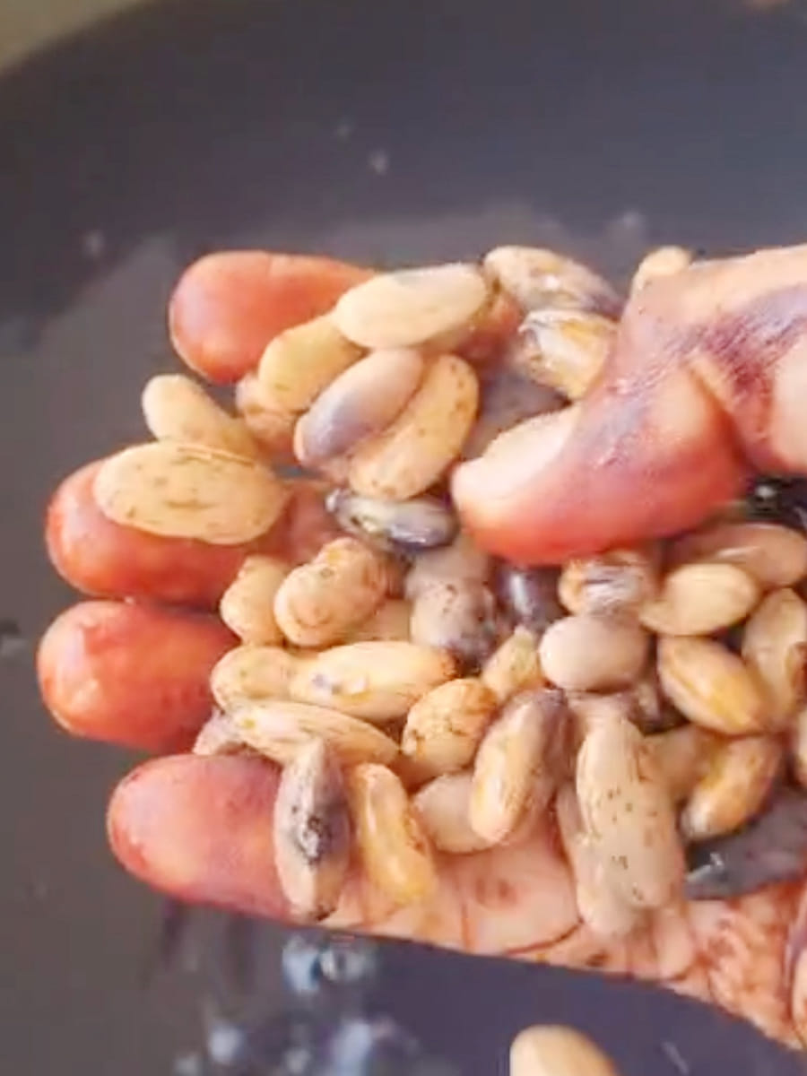 Mid-day meal controversy...the color of the soaked kidney beans faded, a case from the government school in the former panchayat minister's village, video goes viral