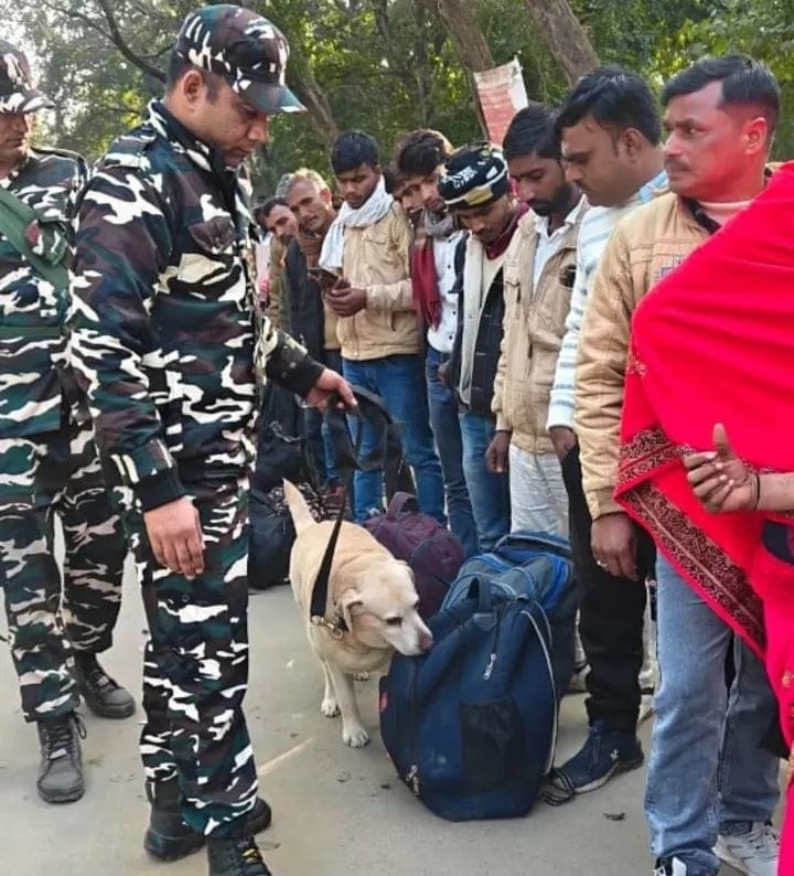 Dog squad deployed at the border, surveillance increased