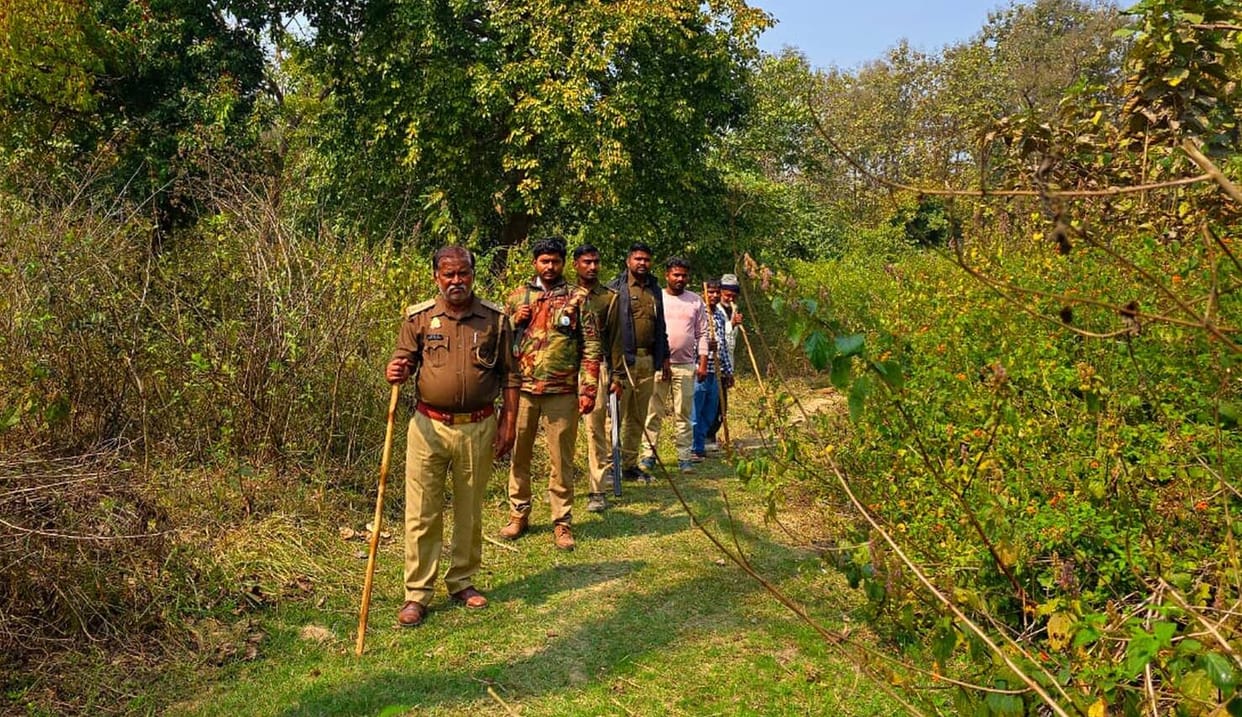 Administration on alert due to tiger threat in Giddhawa, investigations intensified