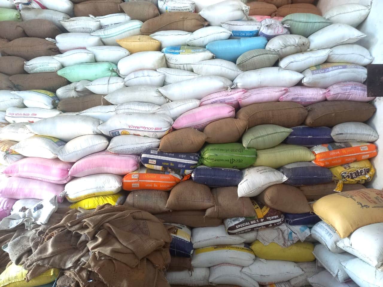 डोमनपुर के साधन सहकारी समिति में डंप पड़ा धान। संवाद