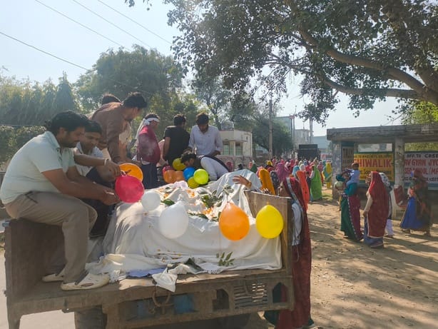 The last journey of the cow was carried out with DJ.