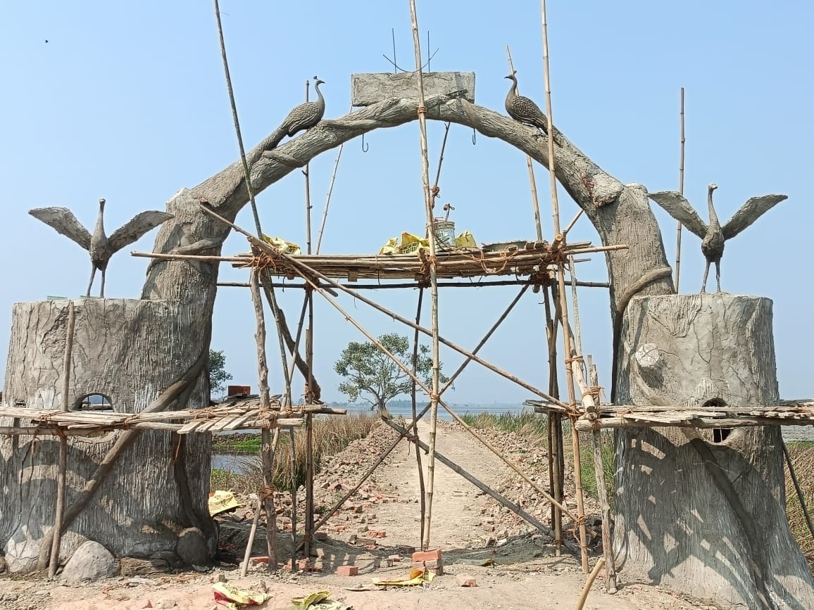 Wetland conservation project is essential for environmental balance and biodiversity conservation