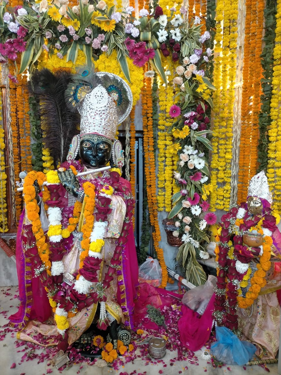 Holi festival will be celebrated on the lines of Vrindavan in Shri Brijraj Swami Temple.
