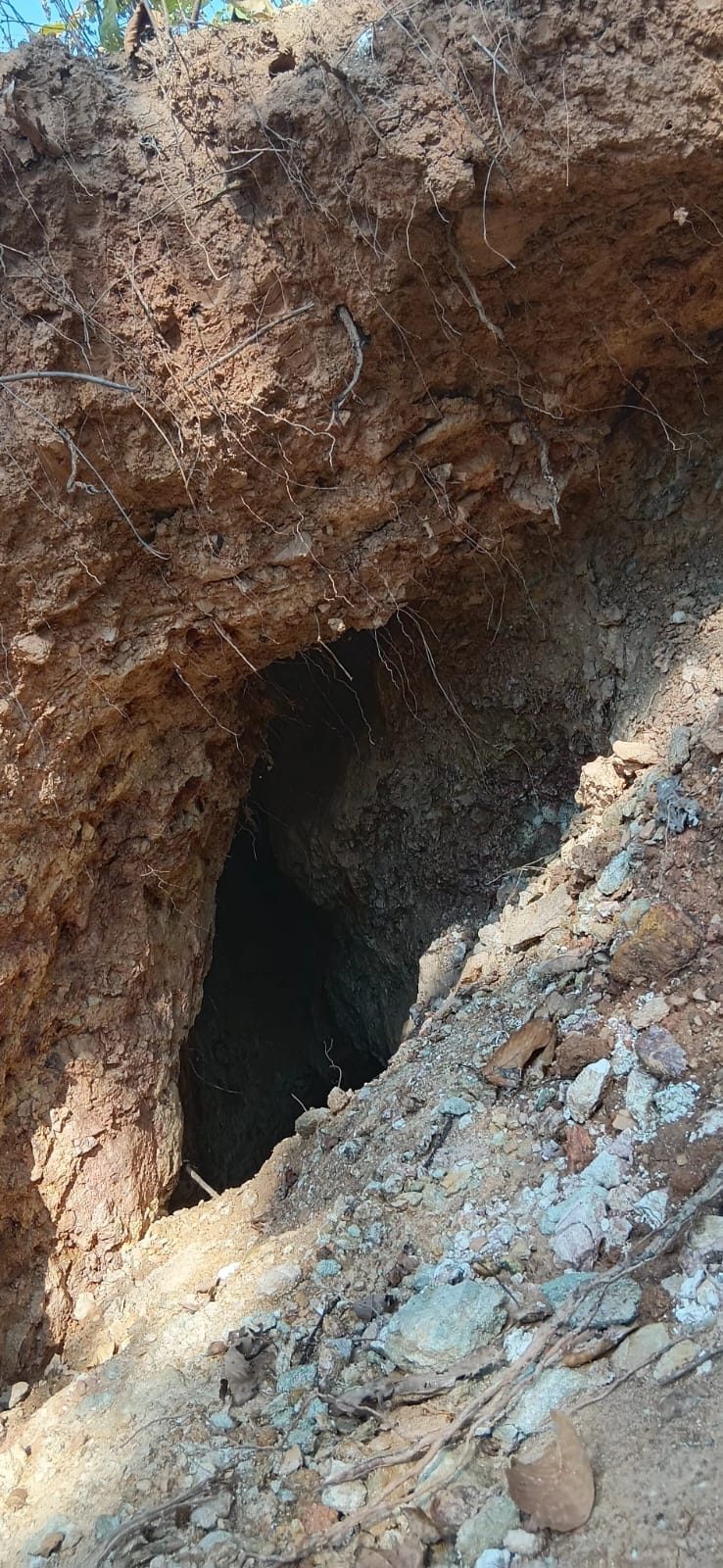 Man-made tunnels pose a threat in the Rantola forest.