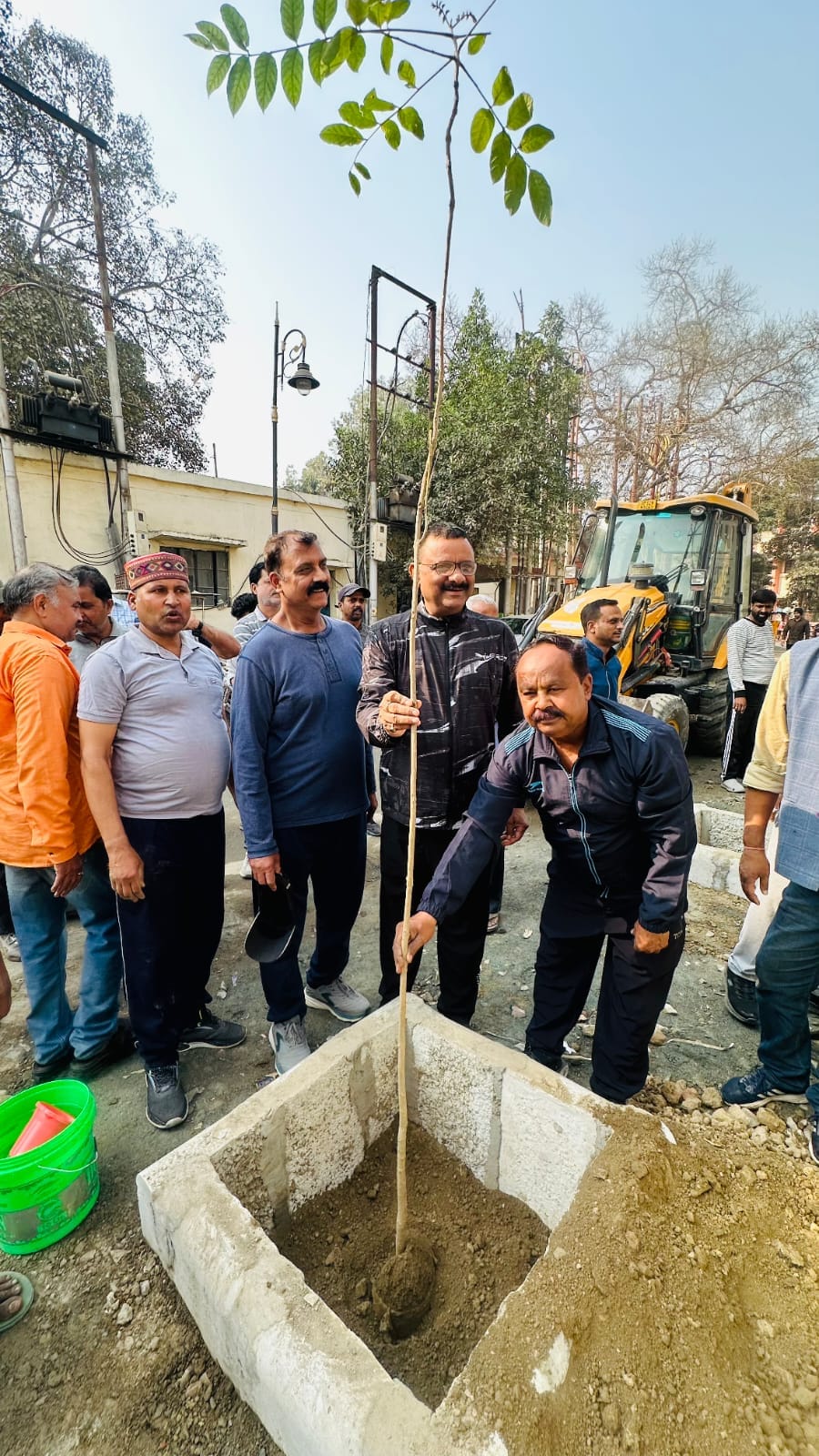 The Mayor planted trees along the road of CM Grid